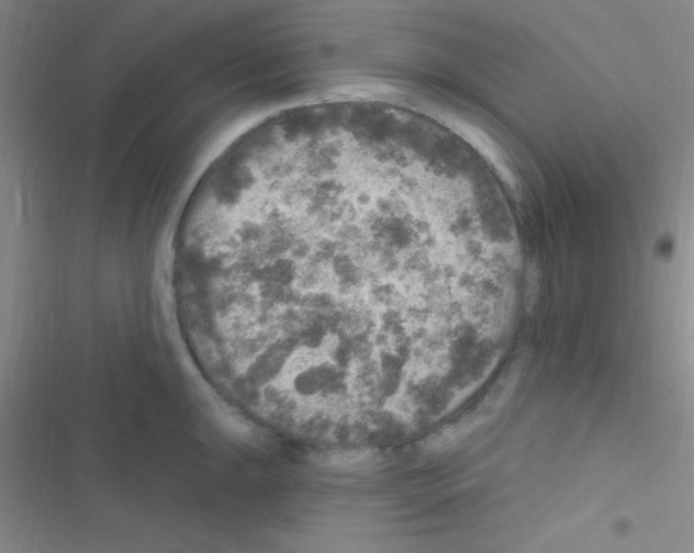 X0000116591047201001211322