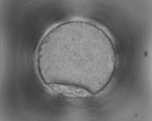 X0000116591048201001211322