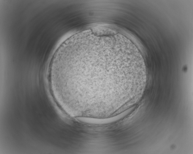 X0000116591050201001211322