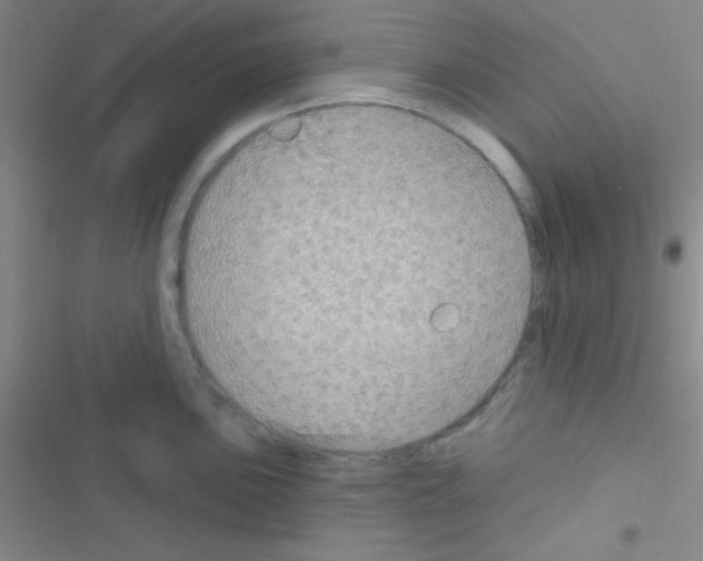 X0000116591051201001211322