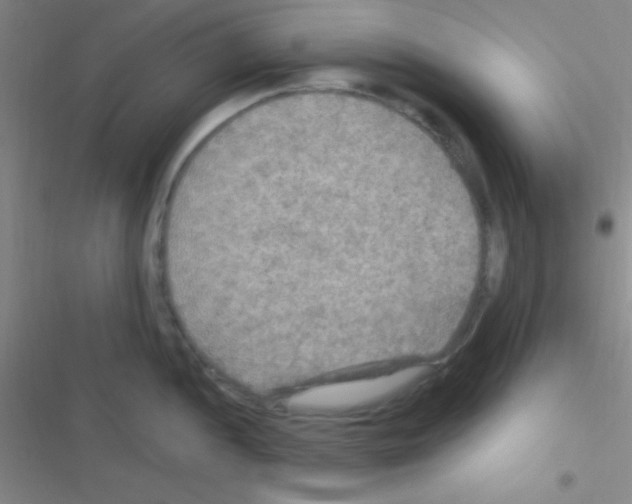 X0000116591052201001211322