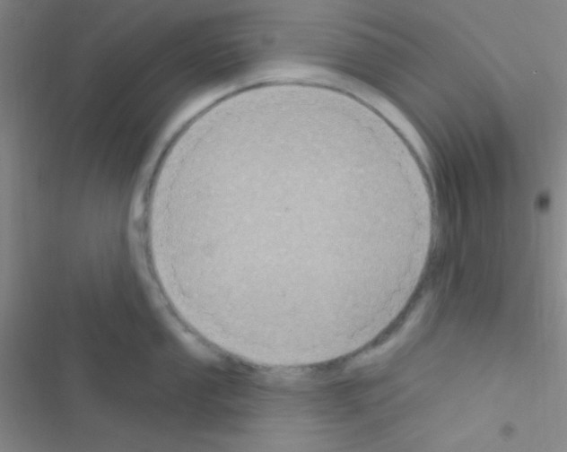 X0000116591053201001211322