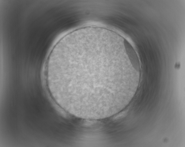 X0000116591056201001211322