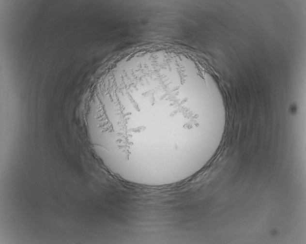 X0000116591057201001211321