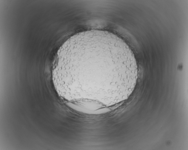 X0000116591058201001211321