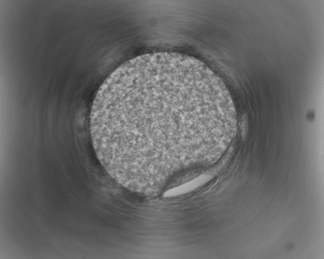 X0000116591059201001211321