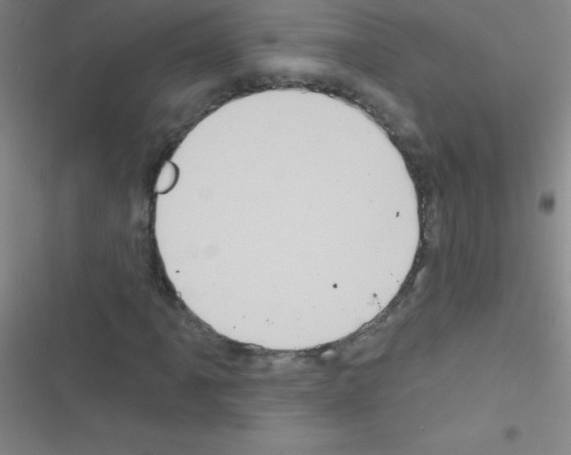 X0000116591061201001211321