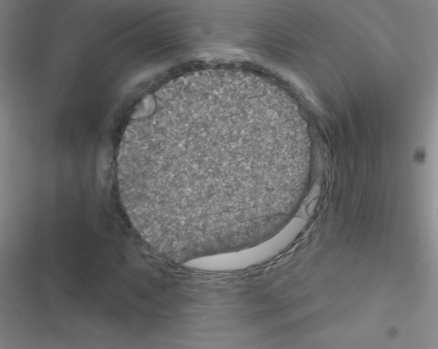 X0000116591063201001211321