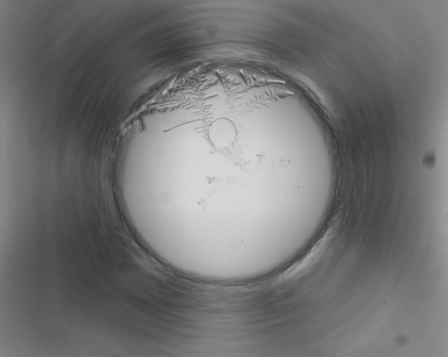 X0000116591065201001211321