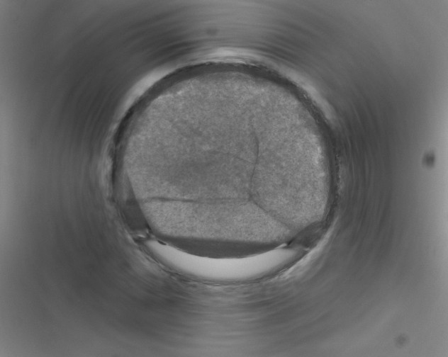 X0000116591066201001211321