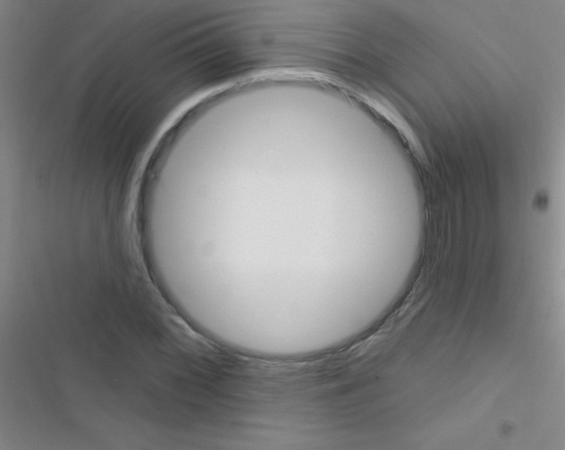 X0000116591068201001211321