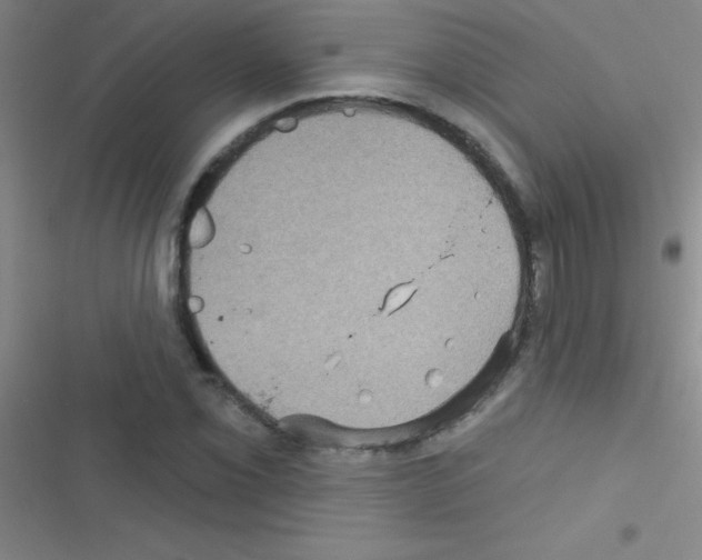 X0000116591069201001211321