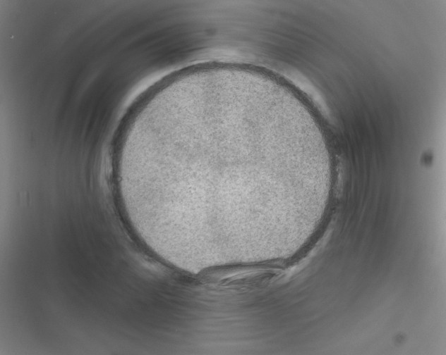 X0000116591070201001211321