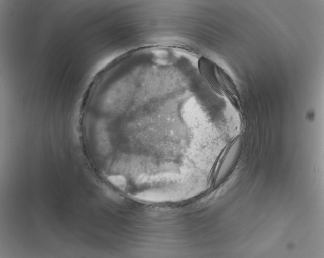 X0000116591071201001211321