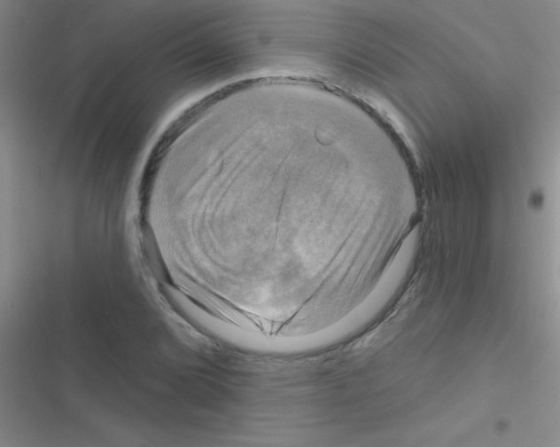 X0000116591072201001211321