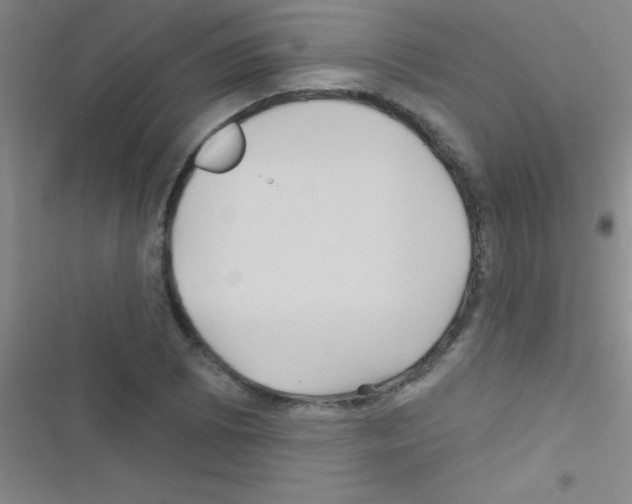 X0000116591073201001211321