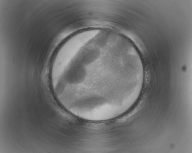 X0000116591074201001211321