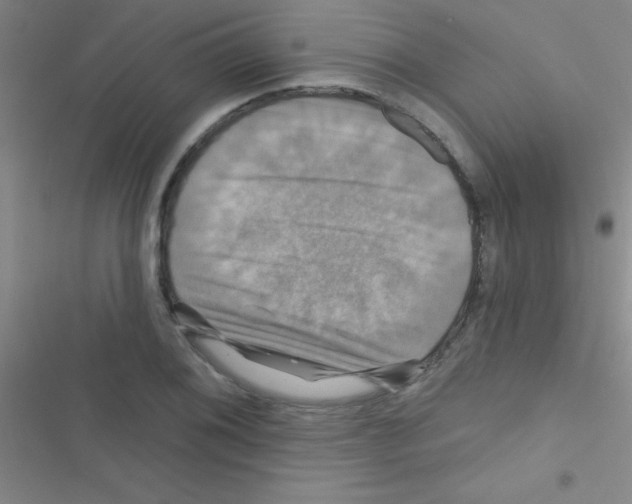 X0000116591076201001211321