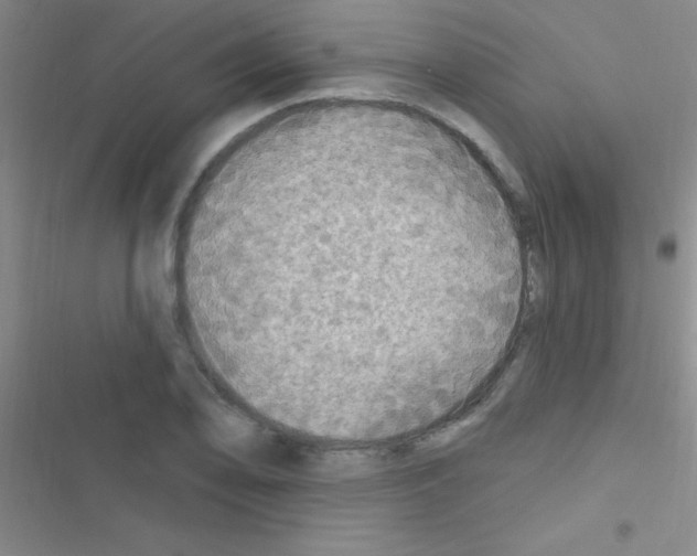 X0000116591078201001211321