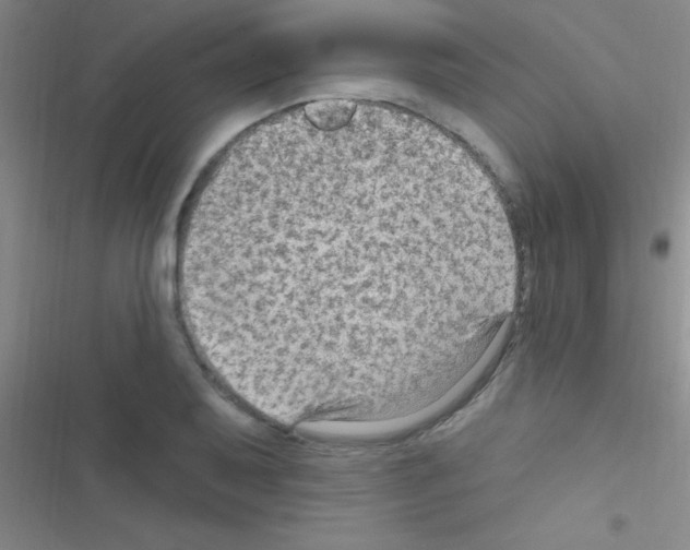 X0000116591079201001211321