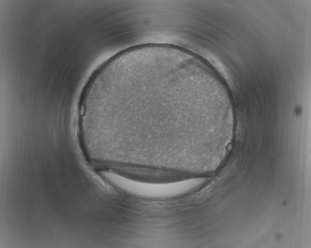 X0000116591080201001211321