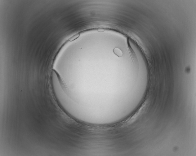 X0000116591081201001211321