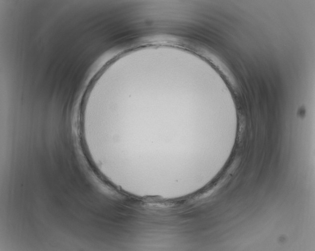 X0000116591082201001211321