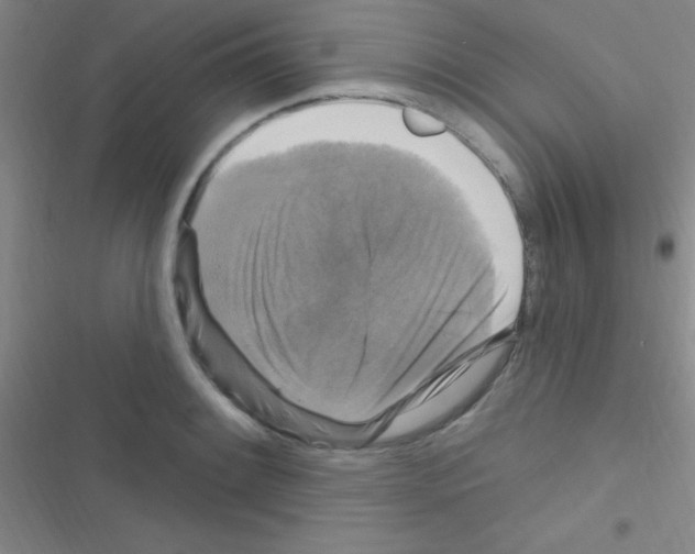 X0000116591084201001211321