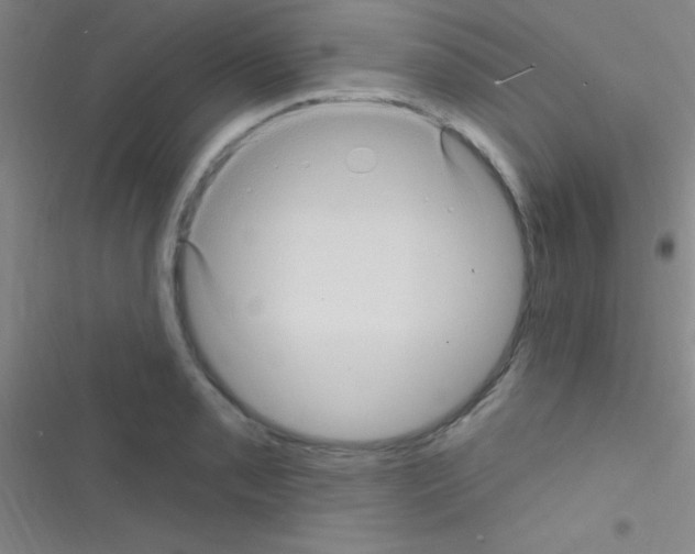 X0000116591085201001211321