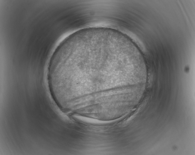 X0000116591086201001211321