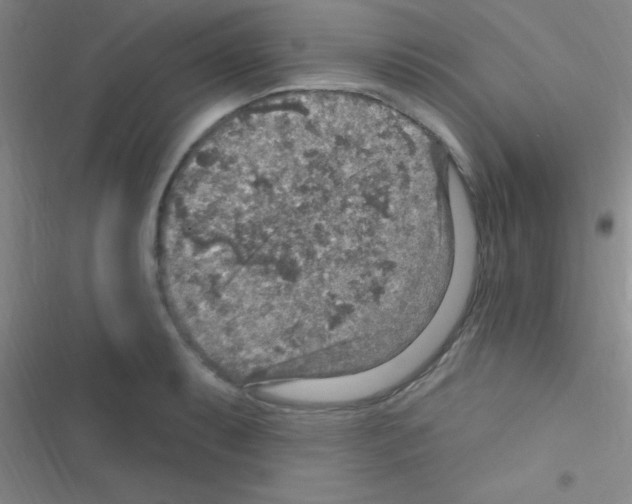 X0000116591087201001211321