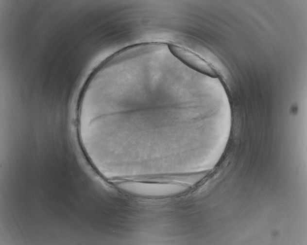 X0000116591088201001211321