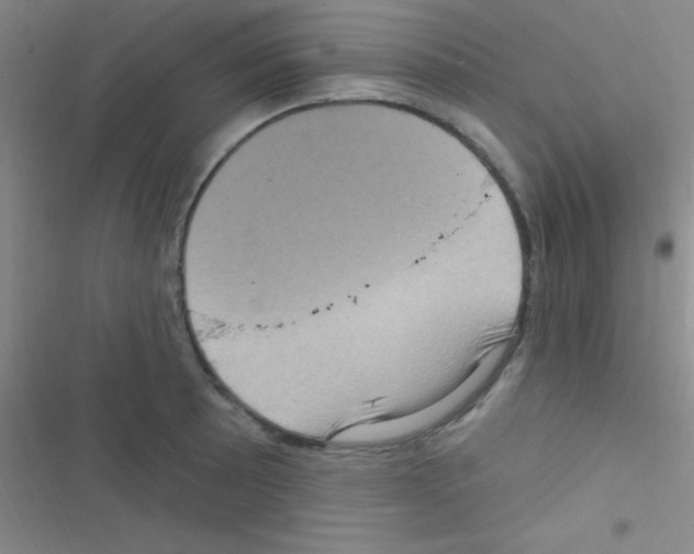 X0000116591089201001211321