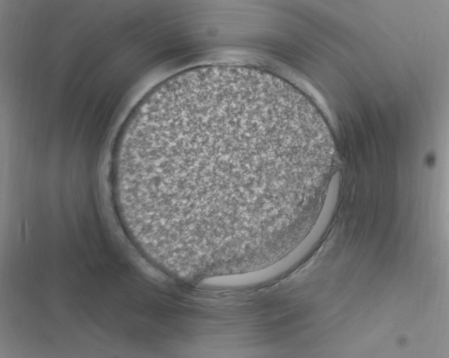 X0000116591091201001211321