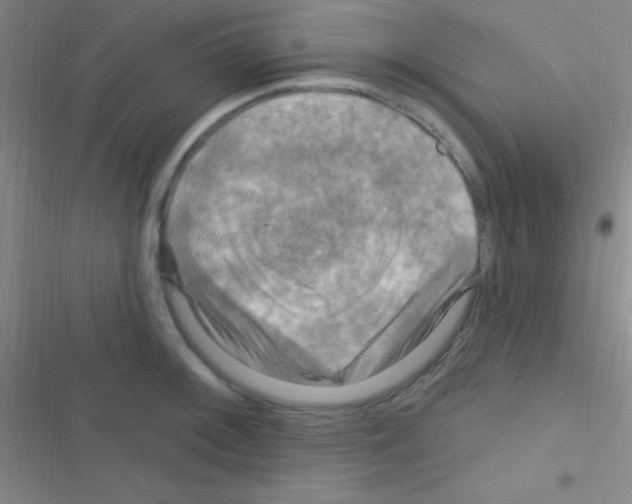 X0000116591092201001211321