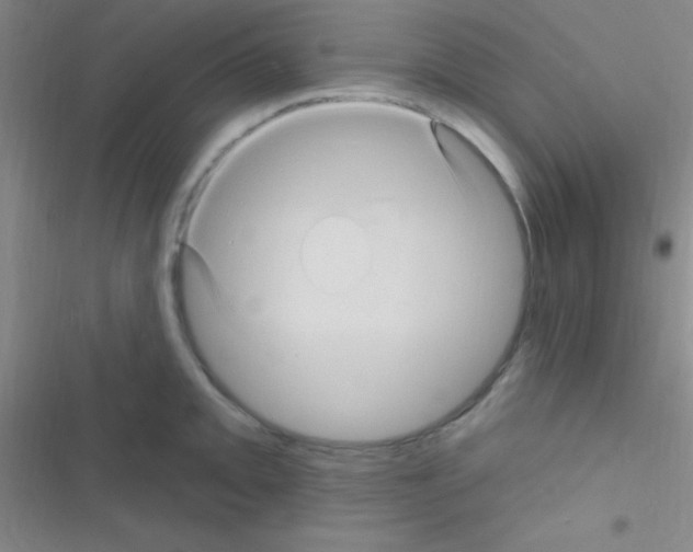 X0000116591093201001211321