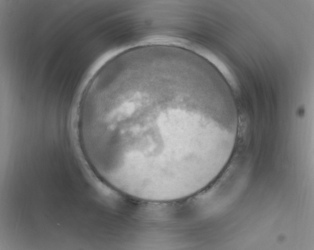 X0000116591094201001211321