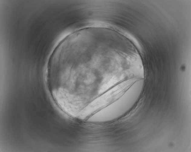 X0000116591095201001211321