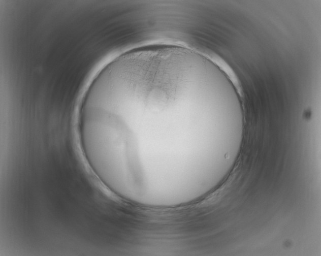 X0000116591096201001211321