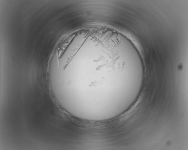 X0000116591097201001211321