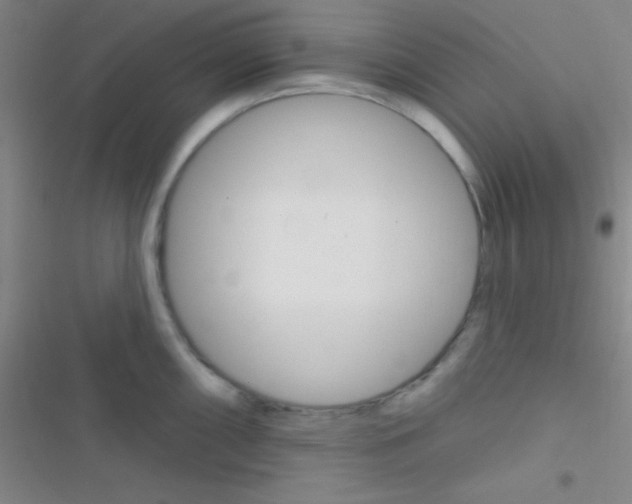 X0000116591098201001211321