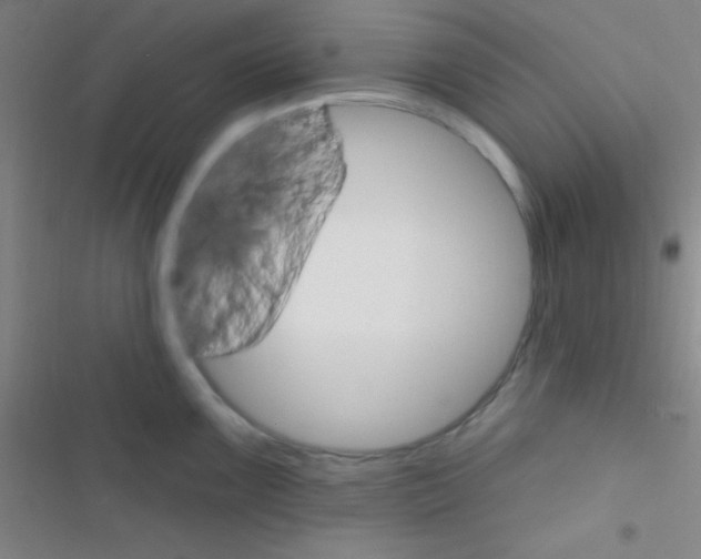 X0000116591099201001211321