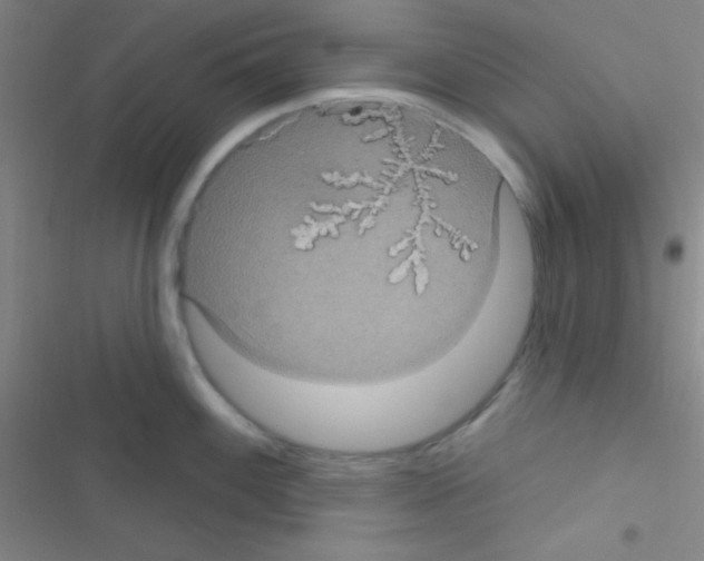 X0000116591100201001211321