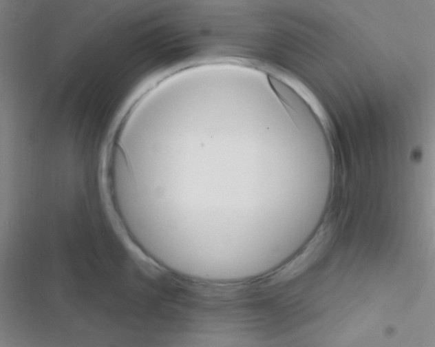 X0000116591101201001211321