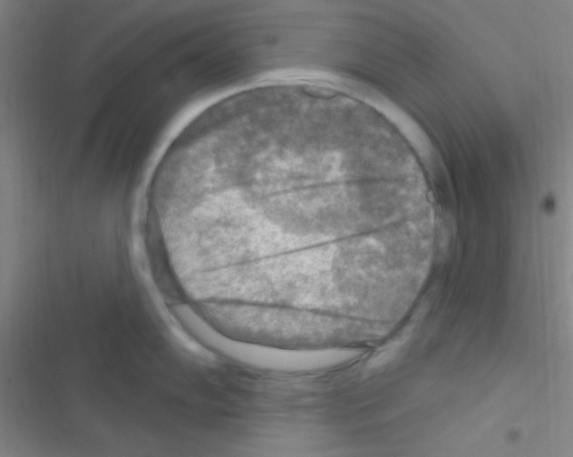 X0000116591102201001211321