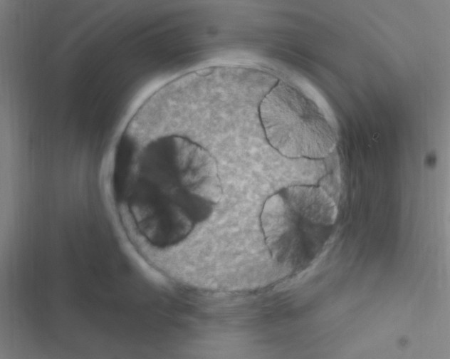 X0000116591103201001211321