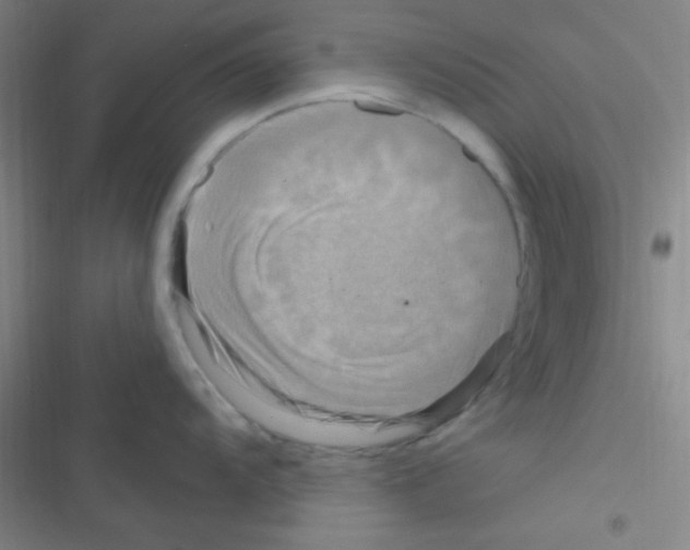 X0000116591104201001211321