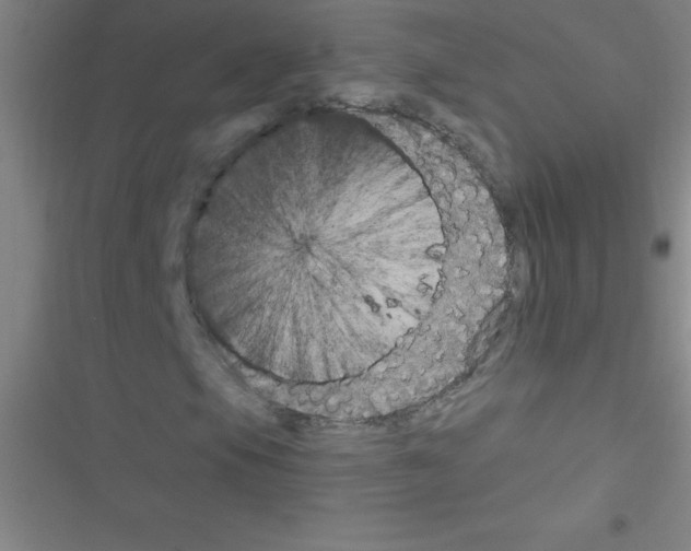 X0000116591105201001211320