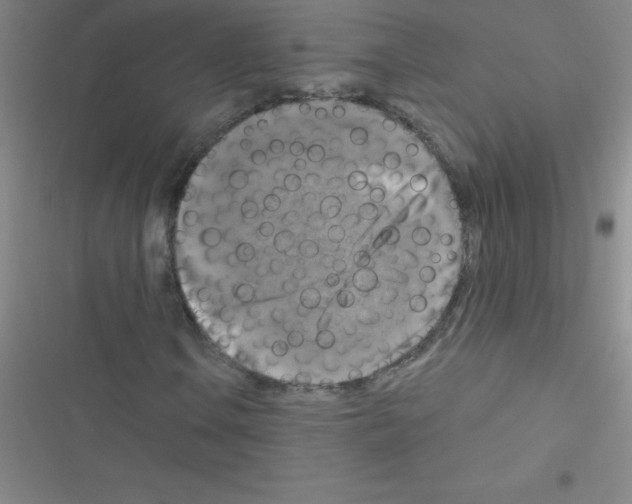 X0000116591106201001211320