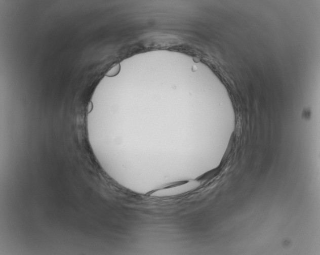 X0000116591109201001211320